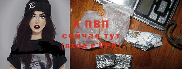 твердый Арсеньев
